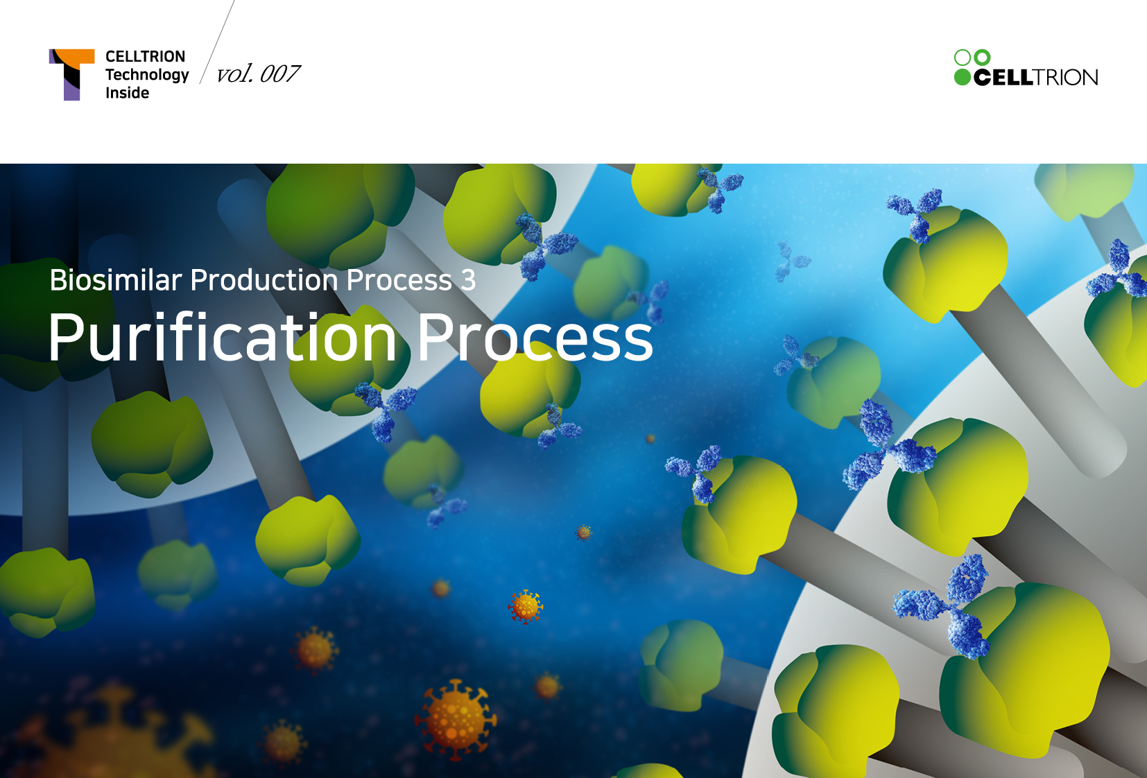 Biosimilar Production Process3 Purification Process